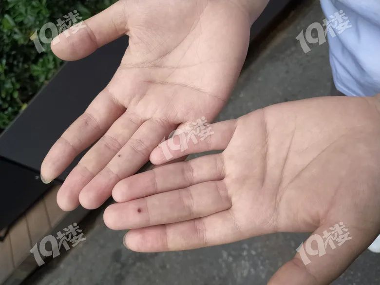 健身房恐怖_健身房恐怖游戏_健身房恐怖故事