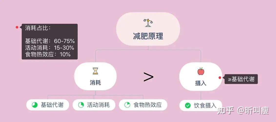 三分练七分吃！破壁机助你轻松减脂，营养美