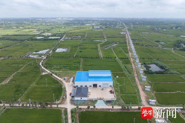 营养餐工作清单_营养餐工作计划_营养餐工作要点