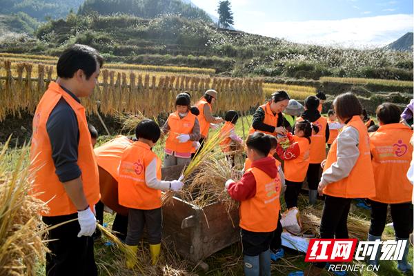 教幼儿生活技能视频_教儿童生活技能_幼儿生活技能课的意义