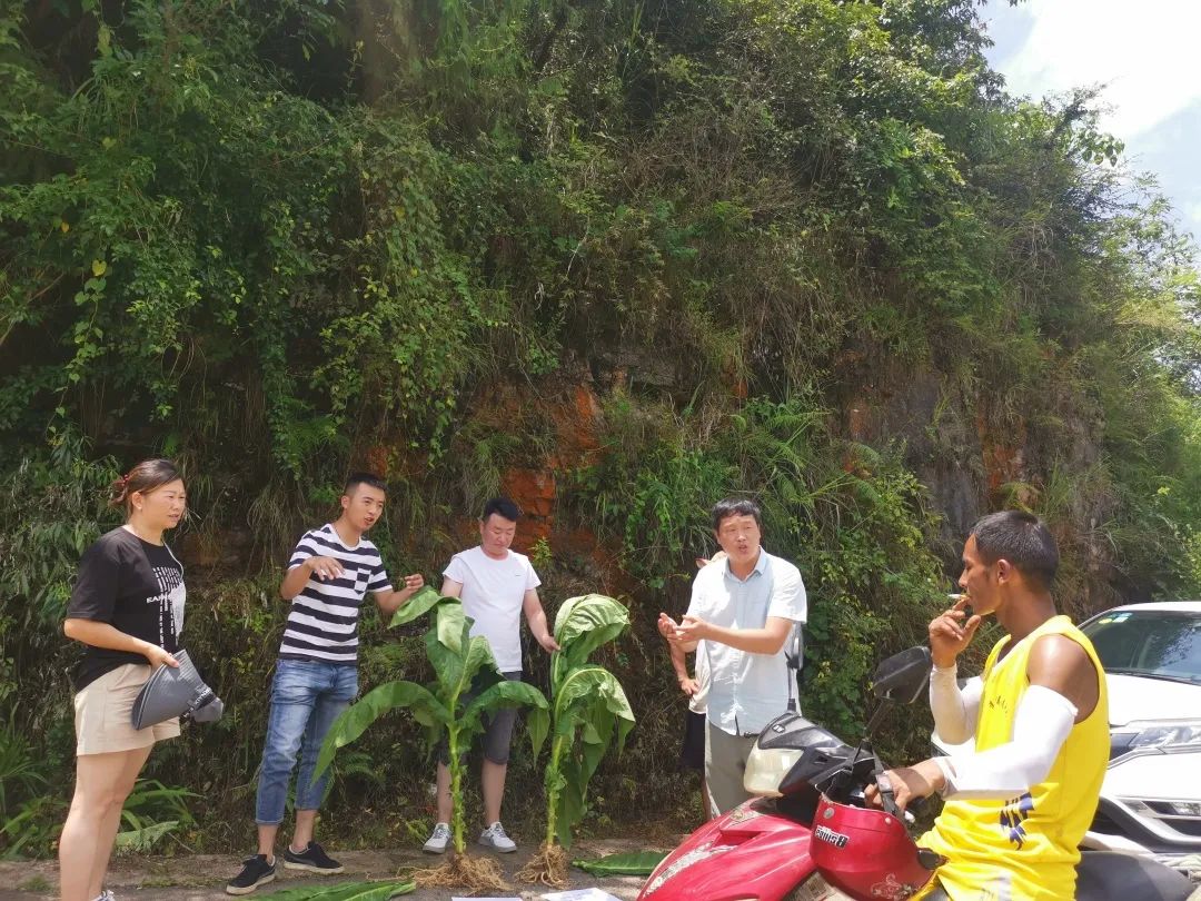 视频马拉松抱拳教学_视频马拉松抱拳教学完整版_马拉松抱拳视频教学