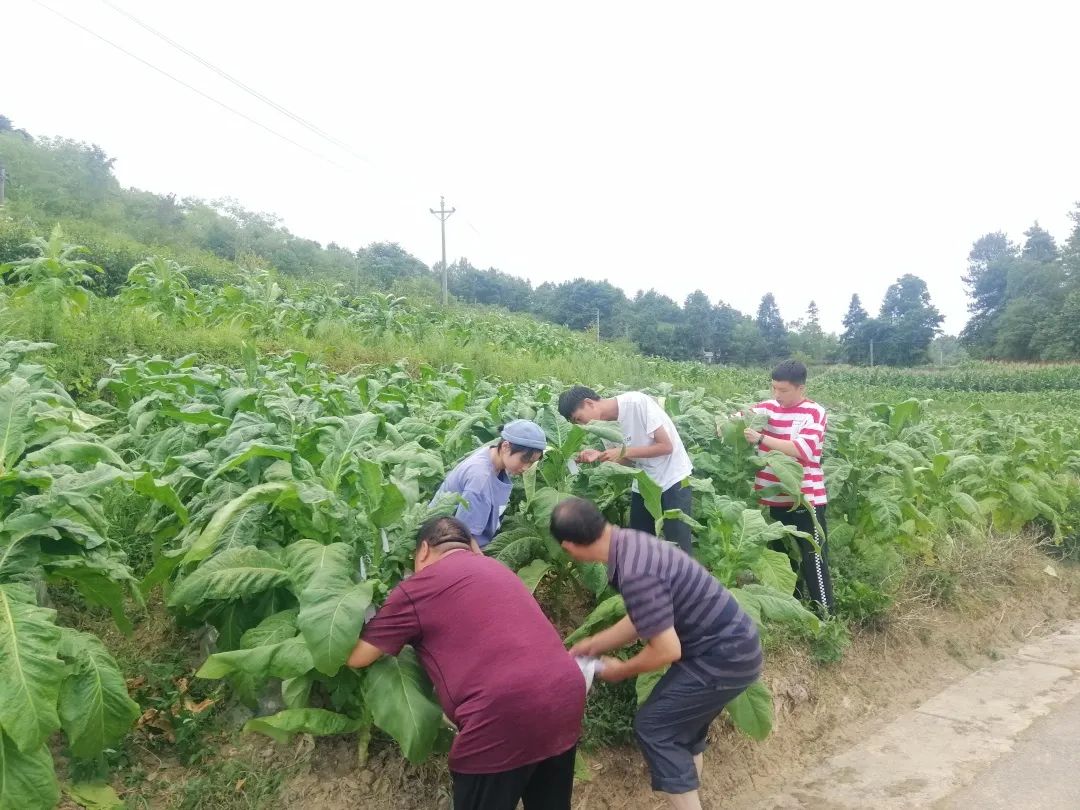 马拉松抱拳视频教学_视频马拉松抱拳教学_视频马拉松抱拳教学完整版