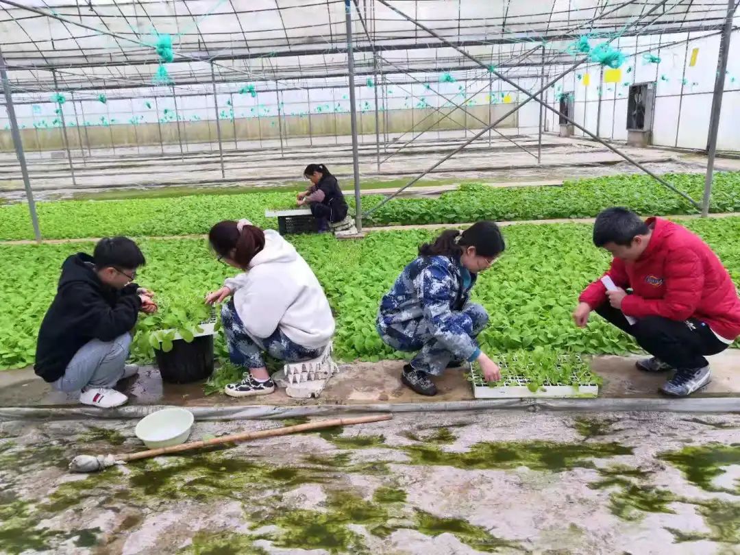 马拉松抱拳视频教学_视频马拉松抱拳教学完整版_视频马拉松抱拳教学