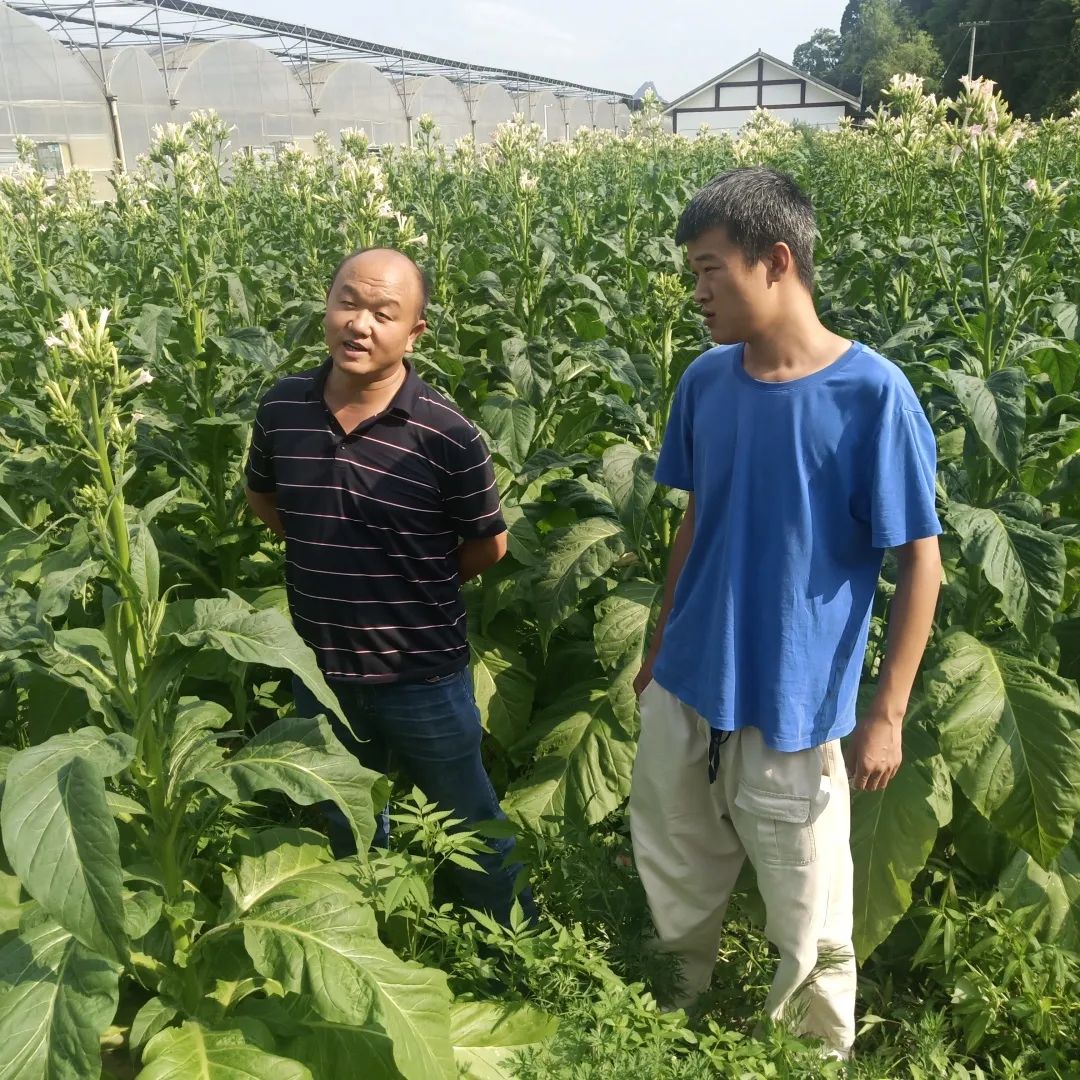 视频马拉松抱拳教学_马拉松抱拳视频教学_视频马拉松抱拳教学完整版
