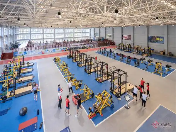 游泳奥运云南冠军有哪些_云南省游泳冠军_云南奥运游泳冠军