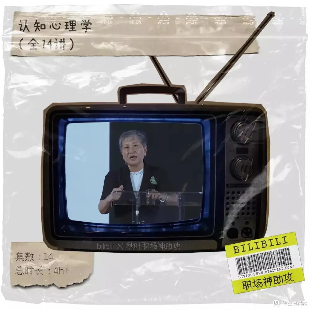 B站有哪些超级小众、不为人知的学习视频？我强烈推荐这30个！